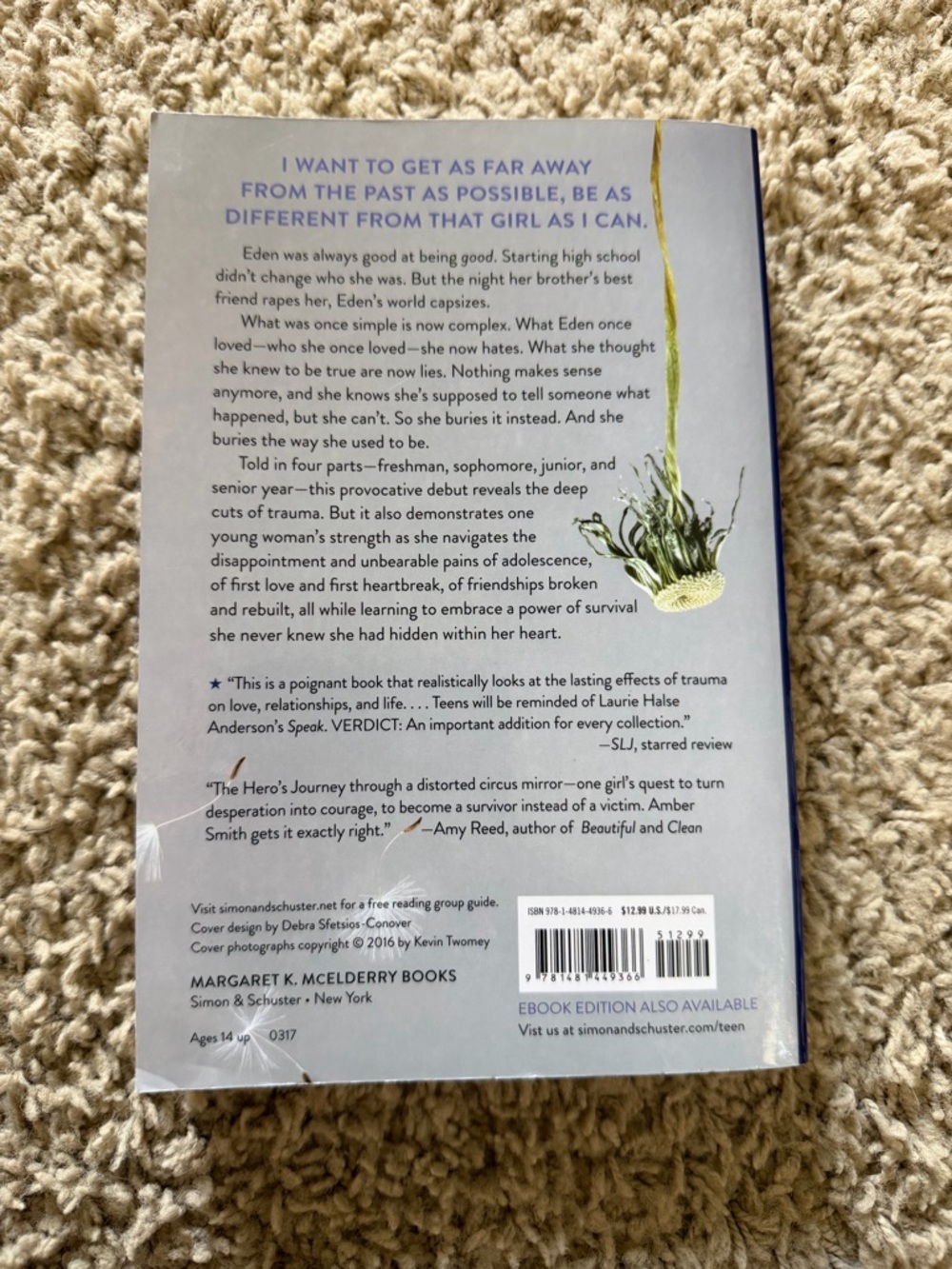 The Way I Used to Be & The Way I Am Now by Amber Smith (2-Book Series) - Picture 3 of 6